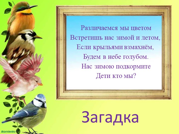Презентация по ФЦКМ на тему " Птичка-сестричка"