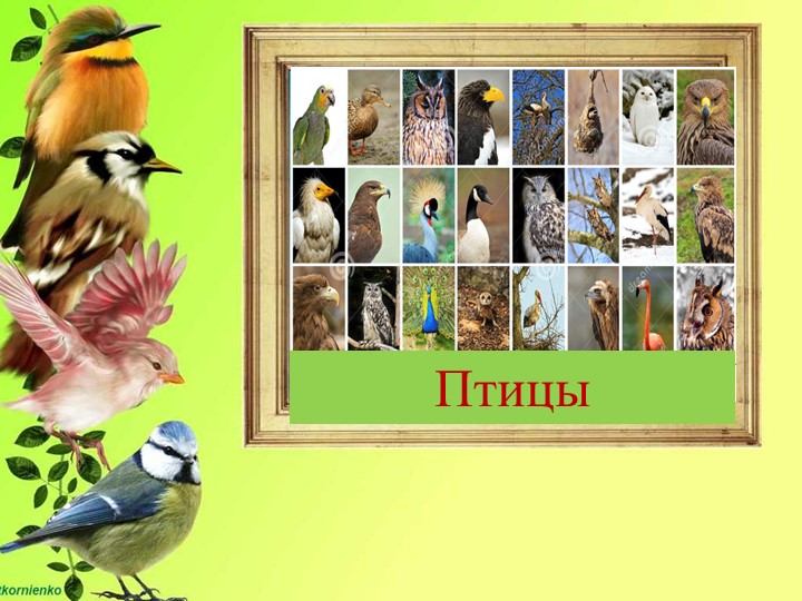 Презентация по ФЦКМ на тему " Птичка-сестричка"
