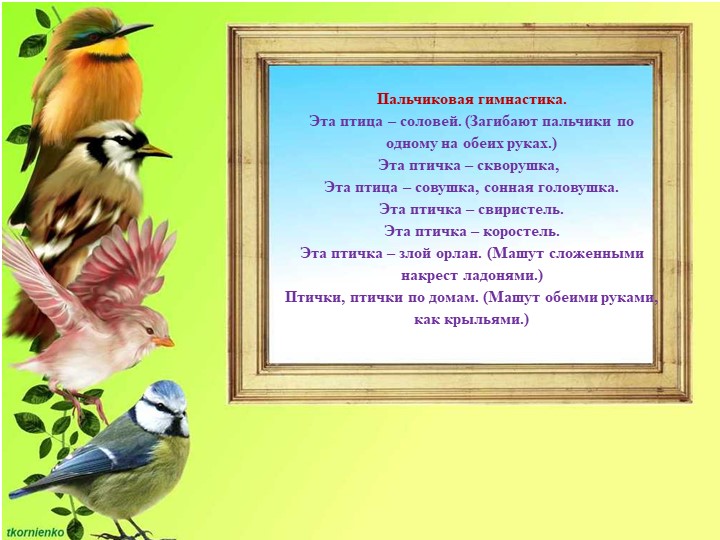 Презентация по ФЦКМ на тему " Птичка-сестричка"