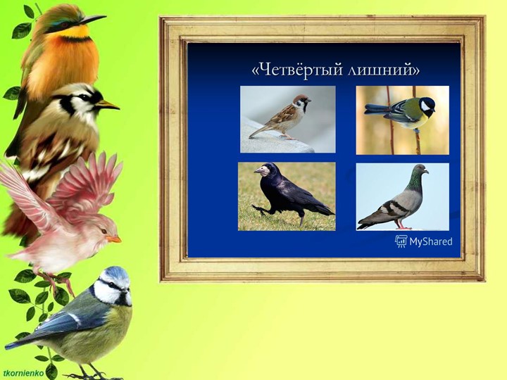 Презентация по ФЦКМ на тему " Птичка-сестричка"