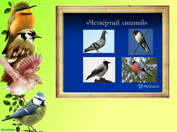 Презентация по ФЦКМ на тему " Птичка-сестричка"