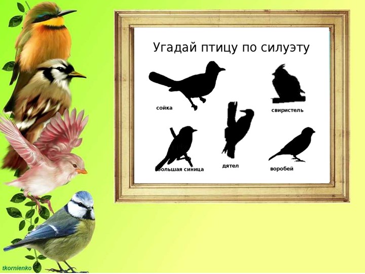 Презентация по ФЦКМ на тему " Птичка-сестричка"
