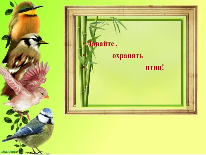 Презентация по ФЦКМ на тему " Птичка-сестричка"