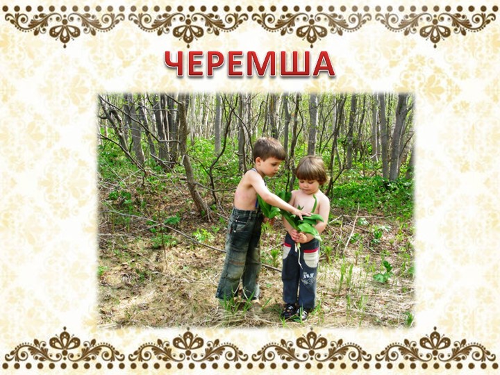 Презентация для литературной гостиной по творчеству поэта М. Шиханова " Сибирь, Сибирь, Земля отцов..."