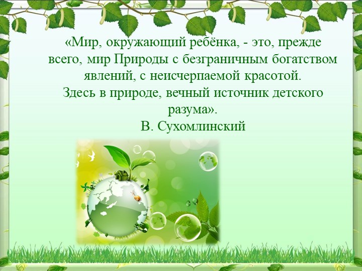 Реализация опытно-экспериментальной деятельности дошкольников в процессе экологического воспитания