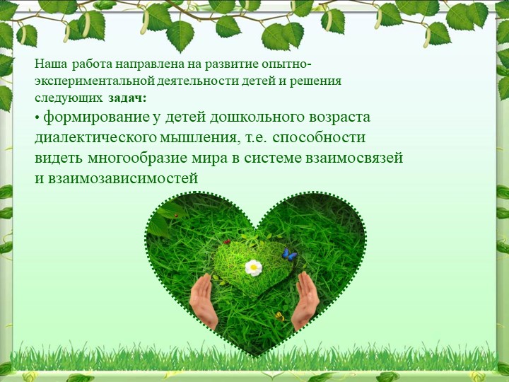 Реализация опытно-экспериментальной деятельности дошкольников в процессе экологического воспитания