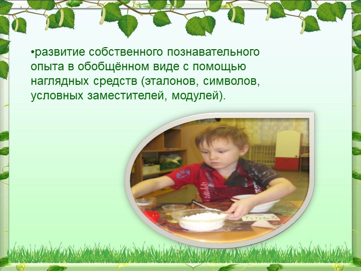 Реализация опытно-экспериментальной деятельности дошкольников в процессе экологического воспитания