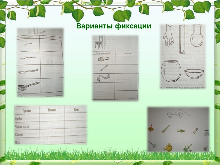 Реализация опытно-экспериментальной деятельности дошкольников в процессе экологического воспитания
