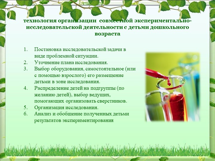 Реализация опытно-экспериментальной деятельности дошкольников в процессе экологического воспитания