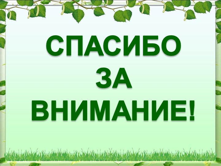 Реализация опытно-экспериментальной деятельности дошкольников в процессе экологического воспитания