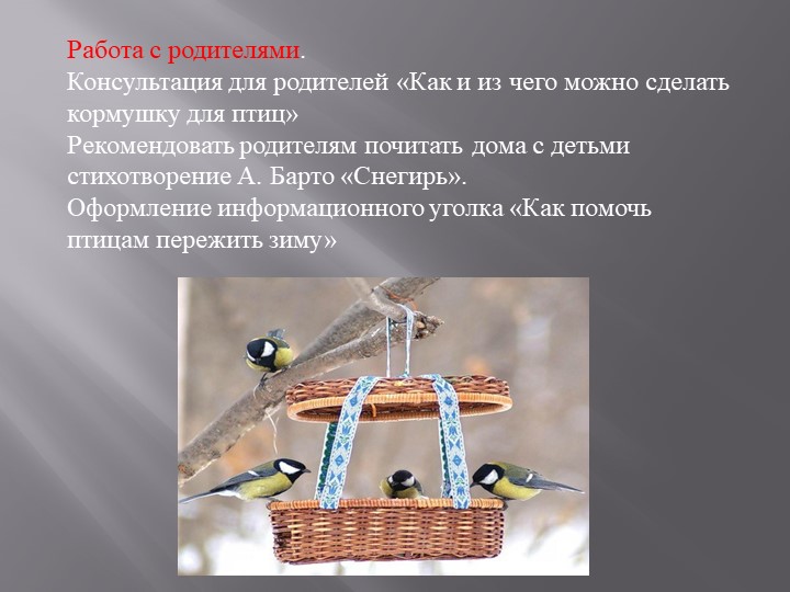 Экологический проект "Кормушка для птиц"
