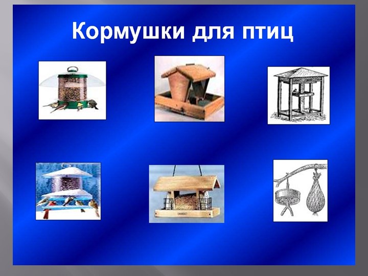 Экологический проект "Кормушка для птиц"