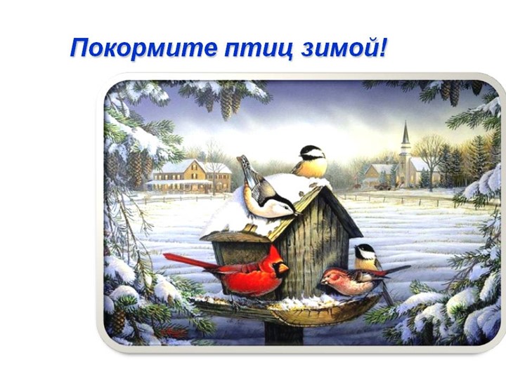 Экологический проект "Кормушка для птиц"