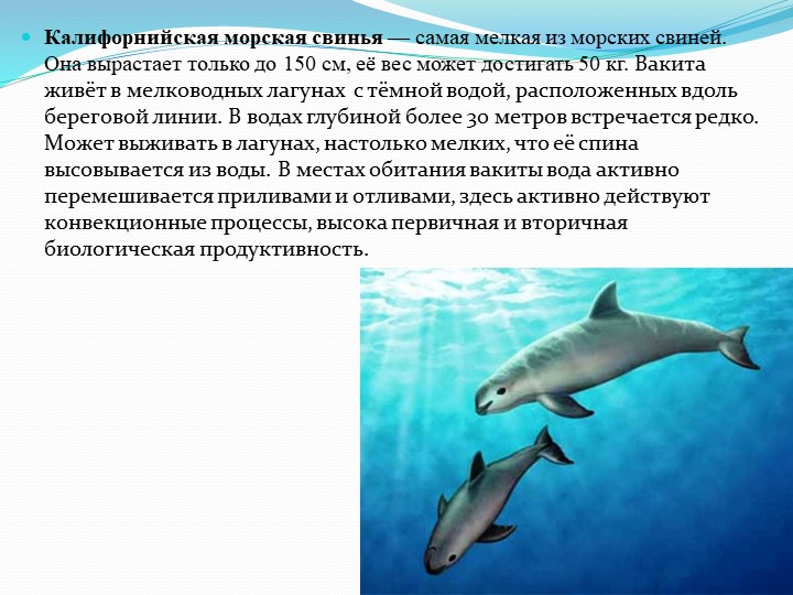 Презентация на тему "Обитатели подводного мира"