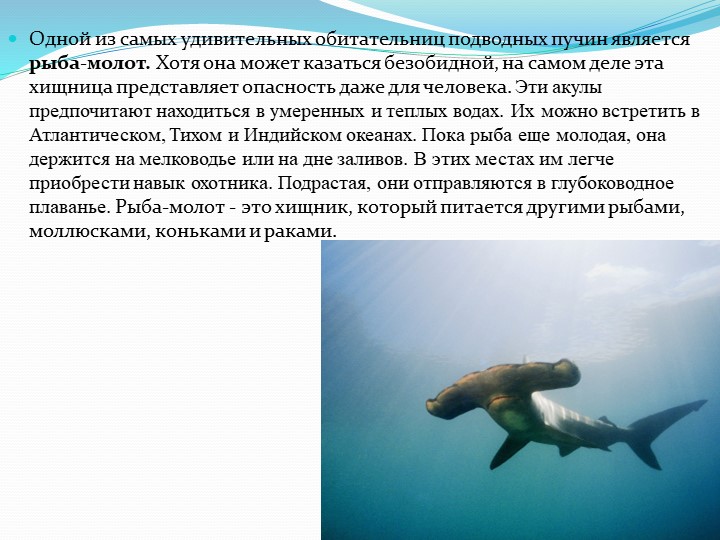 Презентация на тему "Обитатели подводного мира"