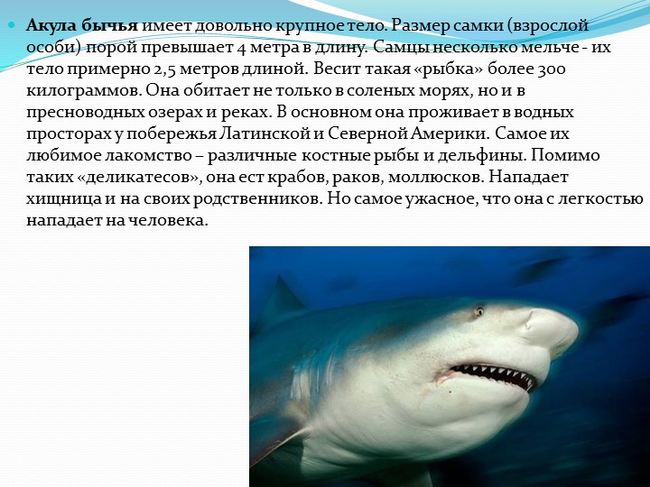 Презентация на тему "Обитатели подводного мира"