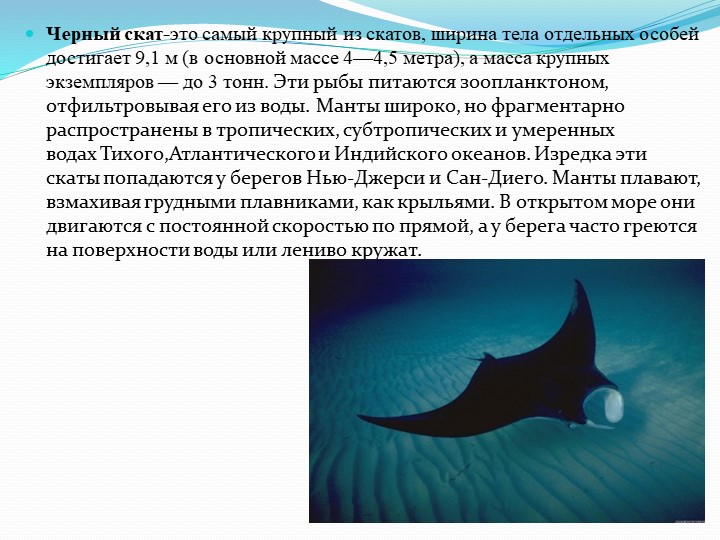 Презентация на тему "Обитатели подводного мира"