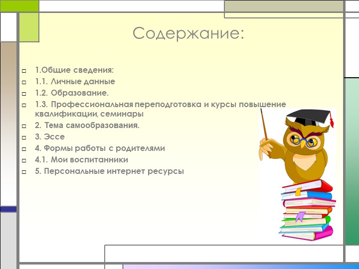 Электронное портфолио воспитателя " Муниципальный конкурс воспитатель года 2017"