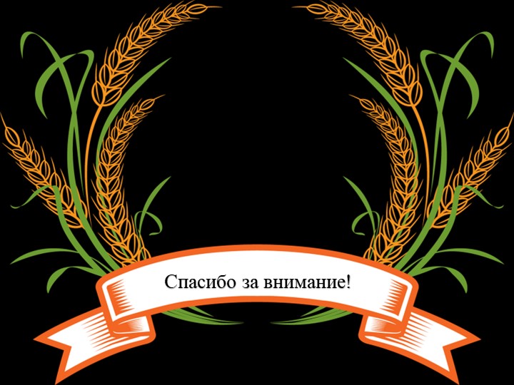 Электронное портфолио воспитателя " Муниципальный конкурс воспитатель года 2017"