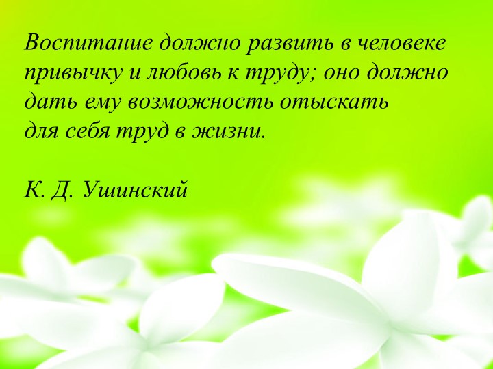 Презентация "Маленькие огородники". Трудовое воспитание.