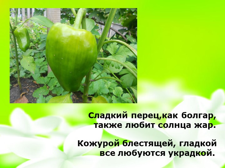 Презентация "Маленькие огородники". Трудовое воспитание.