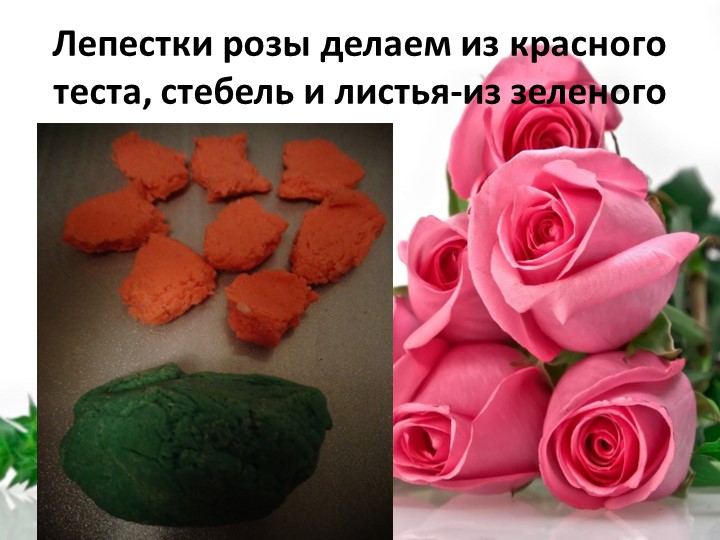 Презентация по тестопластике "Технология изготовления объемного цветка-роза и гвоздика"