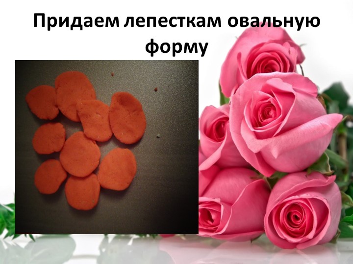 Презентация по тестопластике "Технология изготовления объемного цветка-роза и гвоздика"