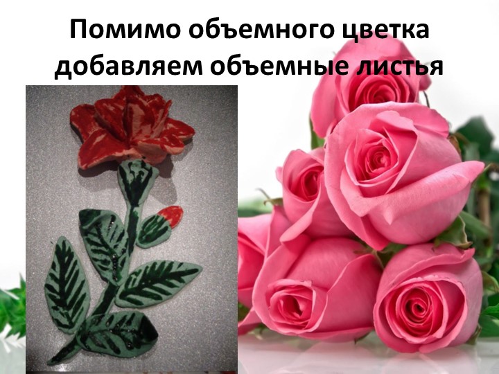 Презентация по тестопластике "Технология изготовления объемного цветка-роза и гвоздика"