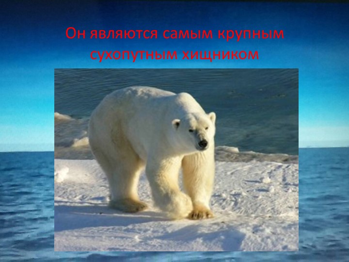 Презентация на конкурс "Я- исследователь"