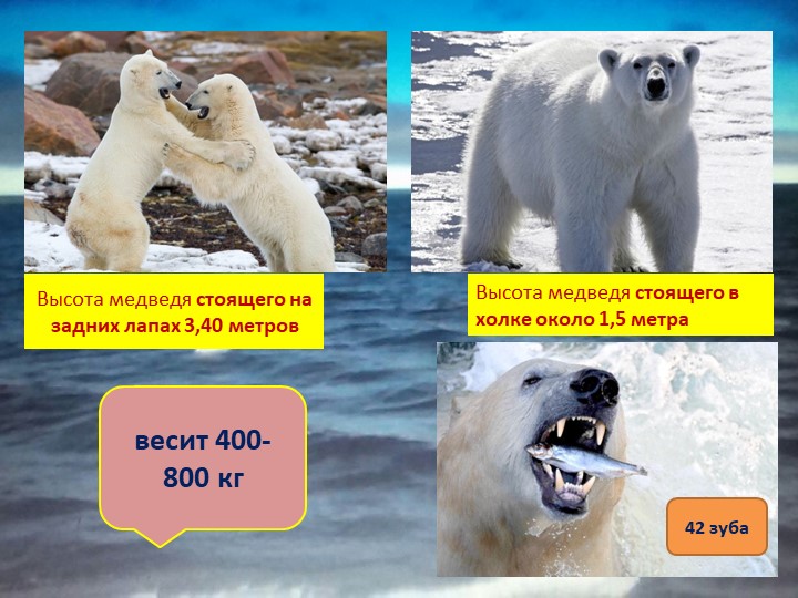 Презентация на конкурс "Я- исследователь"