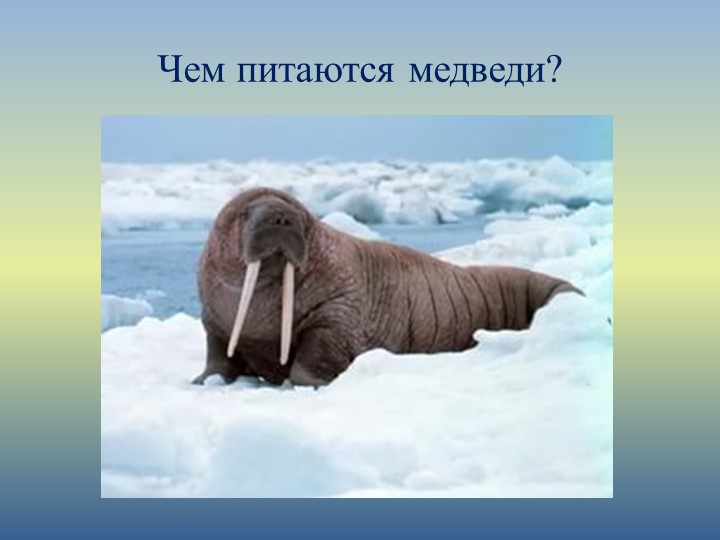 Презентация на конкурс "Я- исследователь"