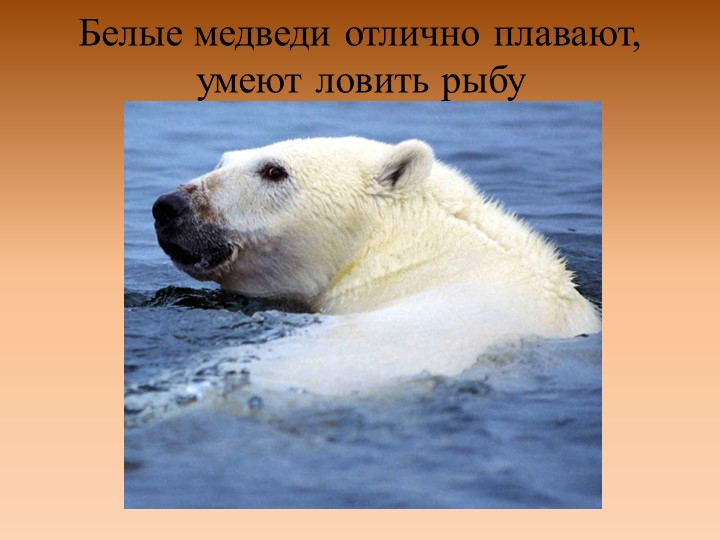 Презентация на конкурс "Я- исследователь"
