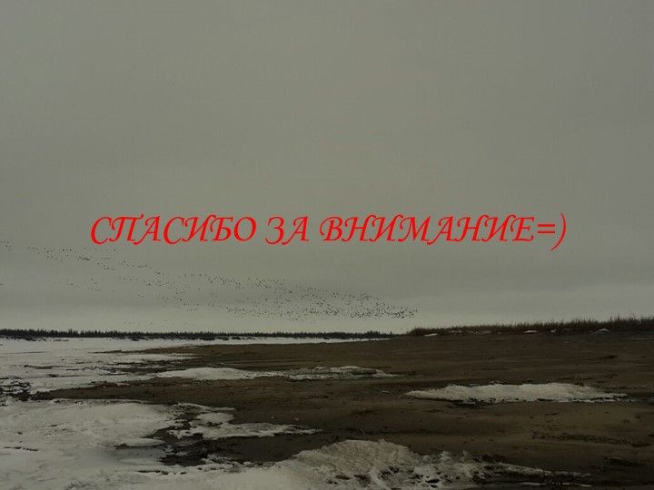 Презентация на конкурс "Я- исследователь"