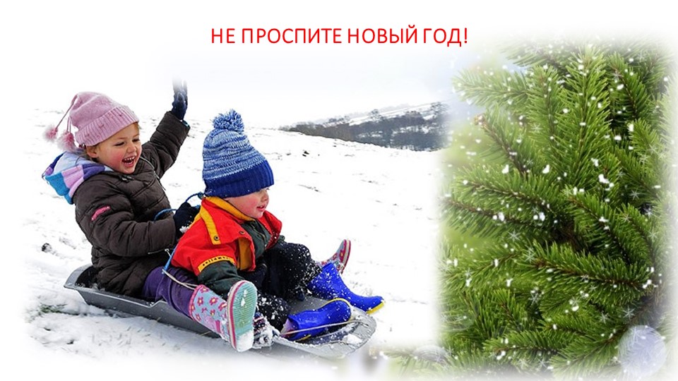 ПРЕЗЕНТАЦИЯ РОДИТЕЛЬСКОГО СОБРАНИЯ "НОВОГОДНИЙ ПЕРЕПОЛОХ"