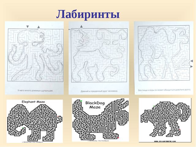 Родителям о развитии мелкой моторики