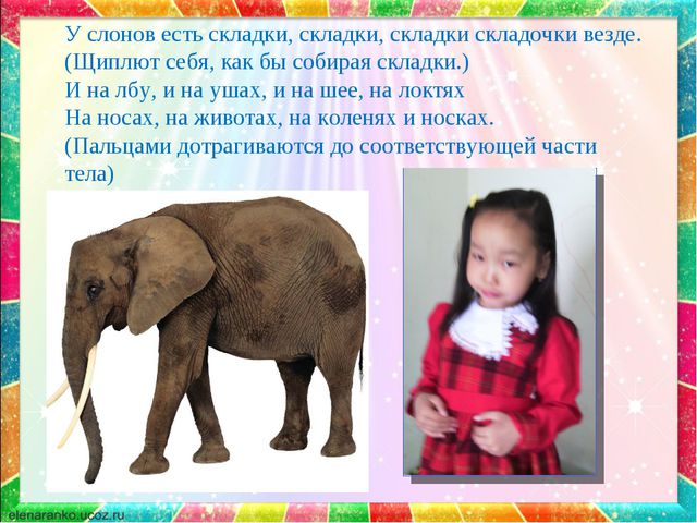 Краденое солнце. Презентация