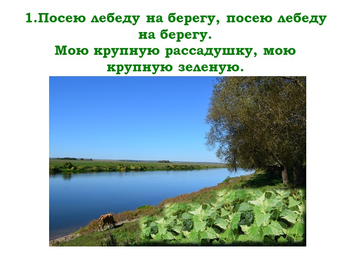 Мнемо-таблица казачьей песни "Посею лебеду на берегу"