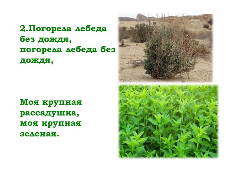 Мнемо-таблица казачьей песни "Посею лебеду на берегу"