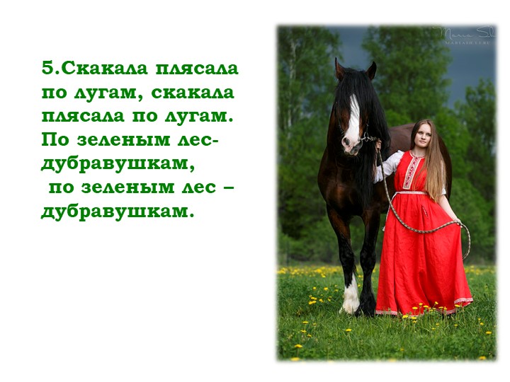 Мнемо-таблица казачьей песни "Посею лебеду на берегу"