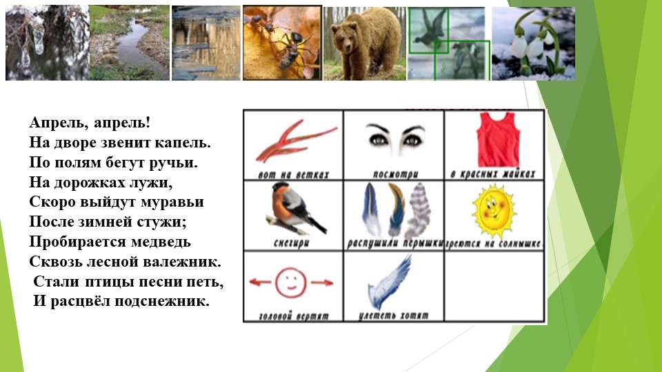 Речевое развития дошкольников посредствам наглядного моделирования
