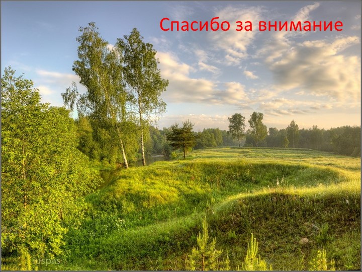 Леса и луга нашей Родины (по программе мы живем на Урале)