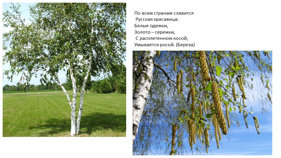 ПРИЗЕНТАЦИЯ К ВИКТОРИНЕ "МОЯ РОССИЯ"