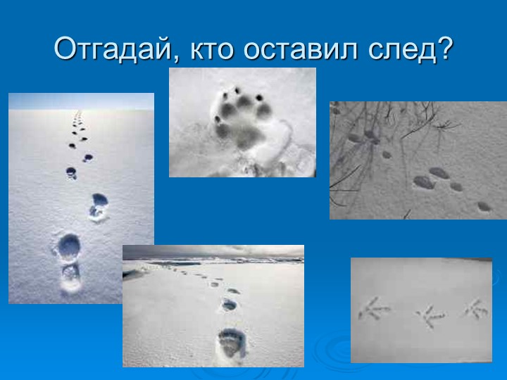 ПРЕЗЕНТАЦИЯ НА ТЕМУ "Зима"