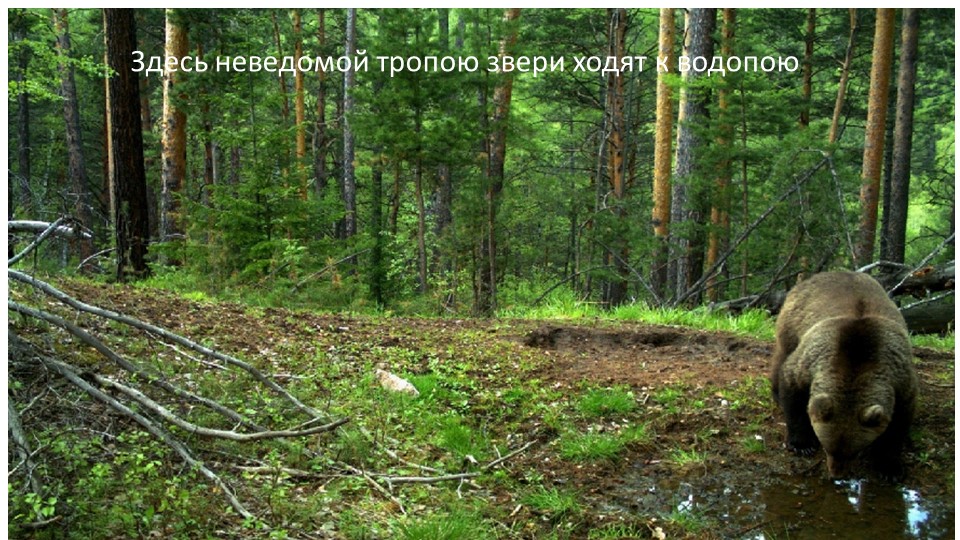 Презентация к стихотворению Т. Царенко "Обь - река"