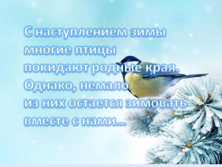 Презентация на тему "Зимующие птицы"