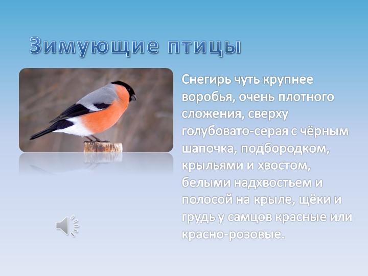 Презентация на тему "Зимующие птицы"