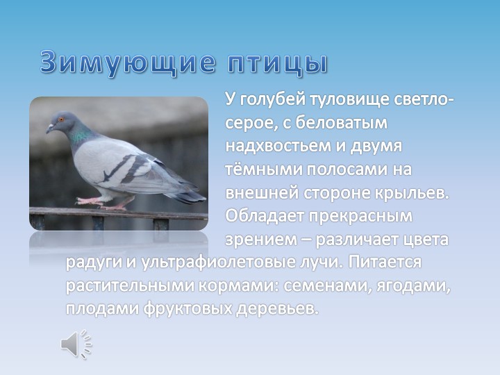 Презентация на тему "Зимующие птицы"