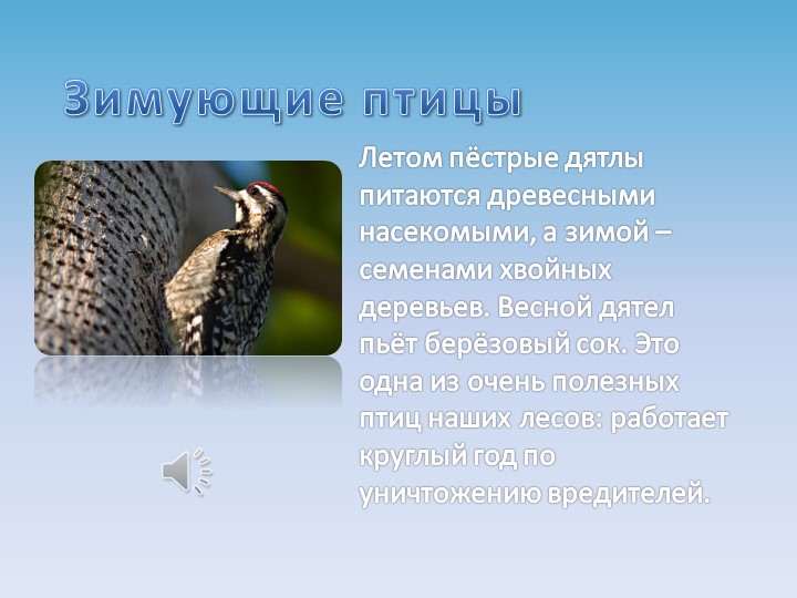 Презентация на тему "Зимующие птицы"