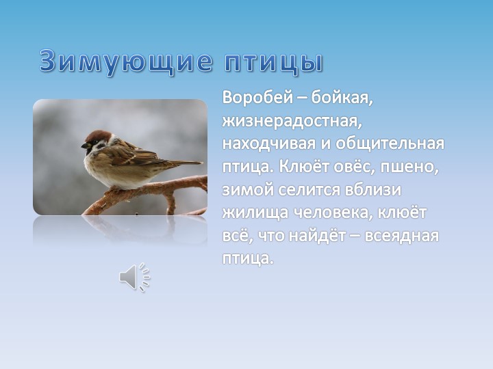 Презентация на тему "Зимующие птицы"