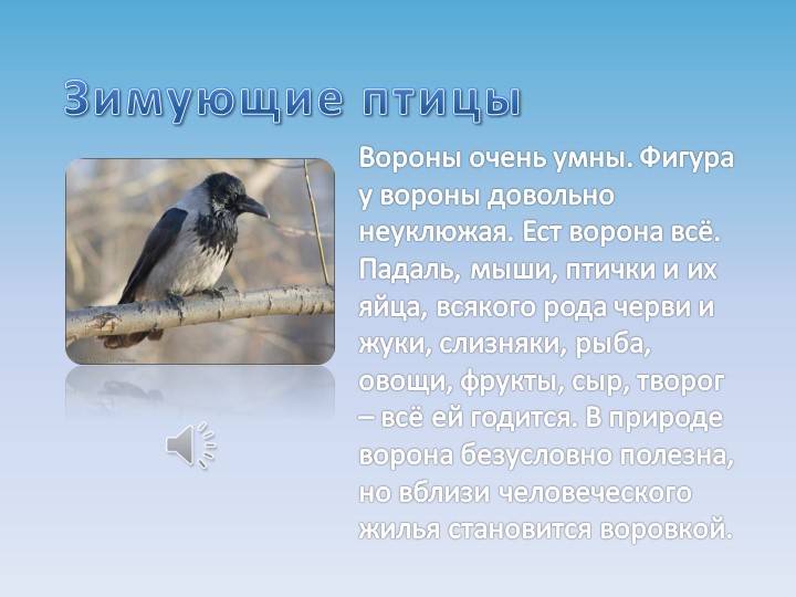 Презентация на тему "Зимующие птицы"